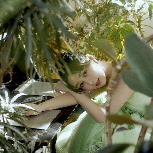 娱乐圈八卦爆料最新白鹿视频,娱乐圈神秘事件再掀波澜  第3张